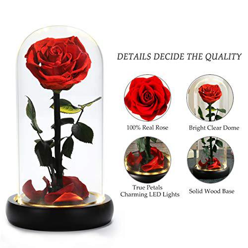 Dream of Flowers mothers day beauty and the beast rose for her, handmade preserved flower rose lasts forever with warm light, real rose gift f