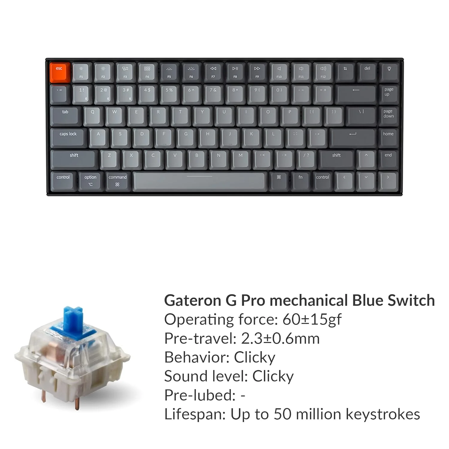 Zell Electronics Zell K2 75% Layout Rgb Bluetooth Wireless Mechanical Keyboard With Gateron G Pro Blue Switch/Anti Ghosting/N-Key Rollover, Co…