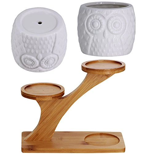 besttoyhome 3pcs Owl Succulent Pots with 3 Tier Bamboo Saucers Stand Holder - White Modern Decorative Ceramic Flower Planter Plant Pot with