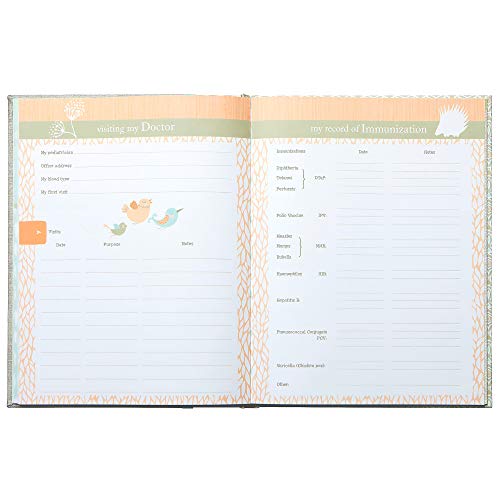 C.R. Gibson Grey Linen Tree Bound First Five Years Memory Baby Book, 64Pgs, 9 W X 11 H