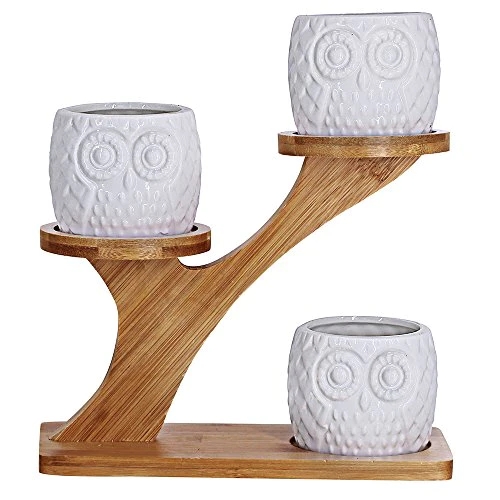 besttoyhome 3pcs Owl Succulent Pots with 3 Tier Bamboo Saucers Stand Holder - White Modern Decorative Ceramic Flower Planter Plant Pot with