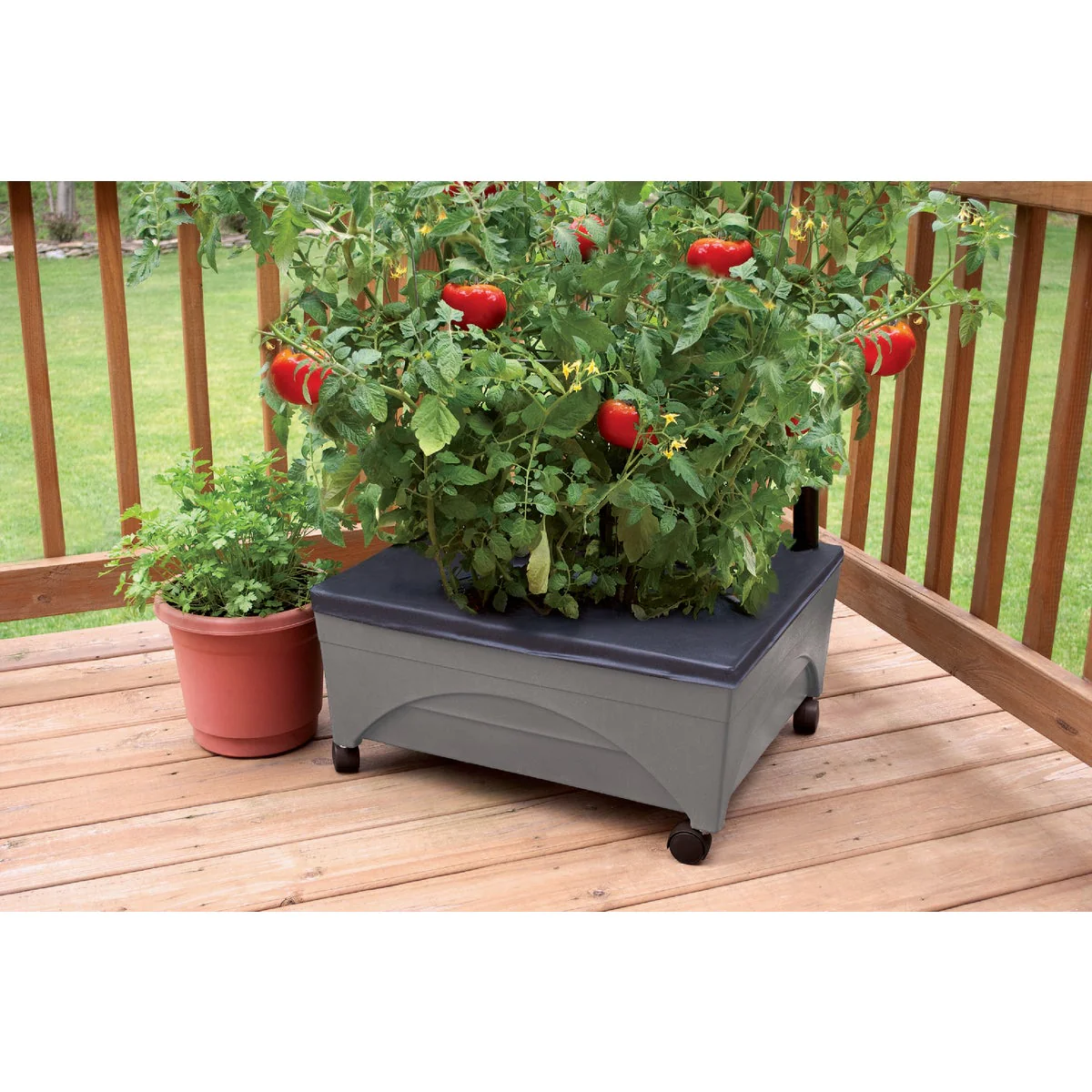 City Pickers 2346D City Pickers 20 In. W. x 11 In. H. x 24 In. L. Slate Polyethylene Portable Patio Garden Kit 2346D