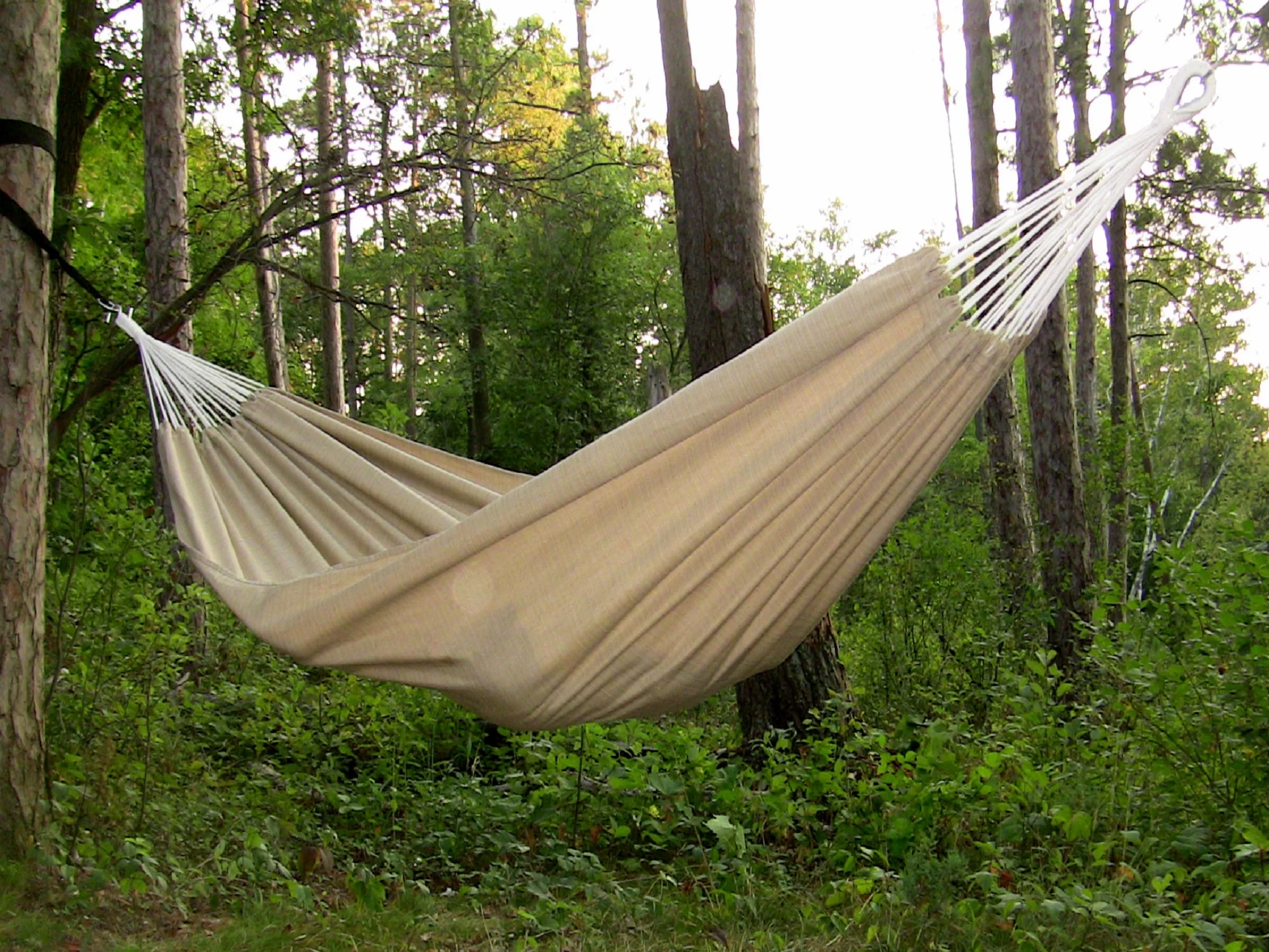The Hamptons Collection 144” Tan Two Person Outdoor Brazilian Sunbrella Hammock