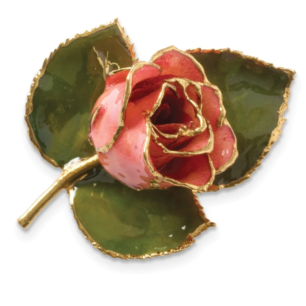 Jewelryweb 24k Gold Trim Pink Rose Brooch Pin
