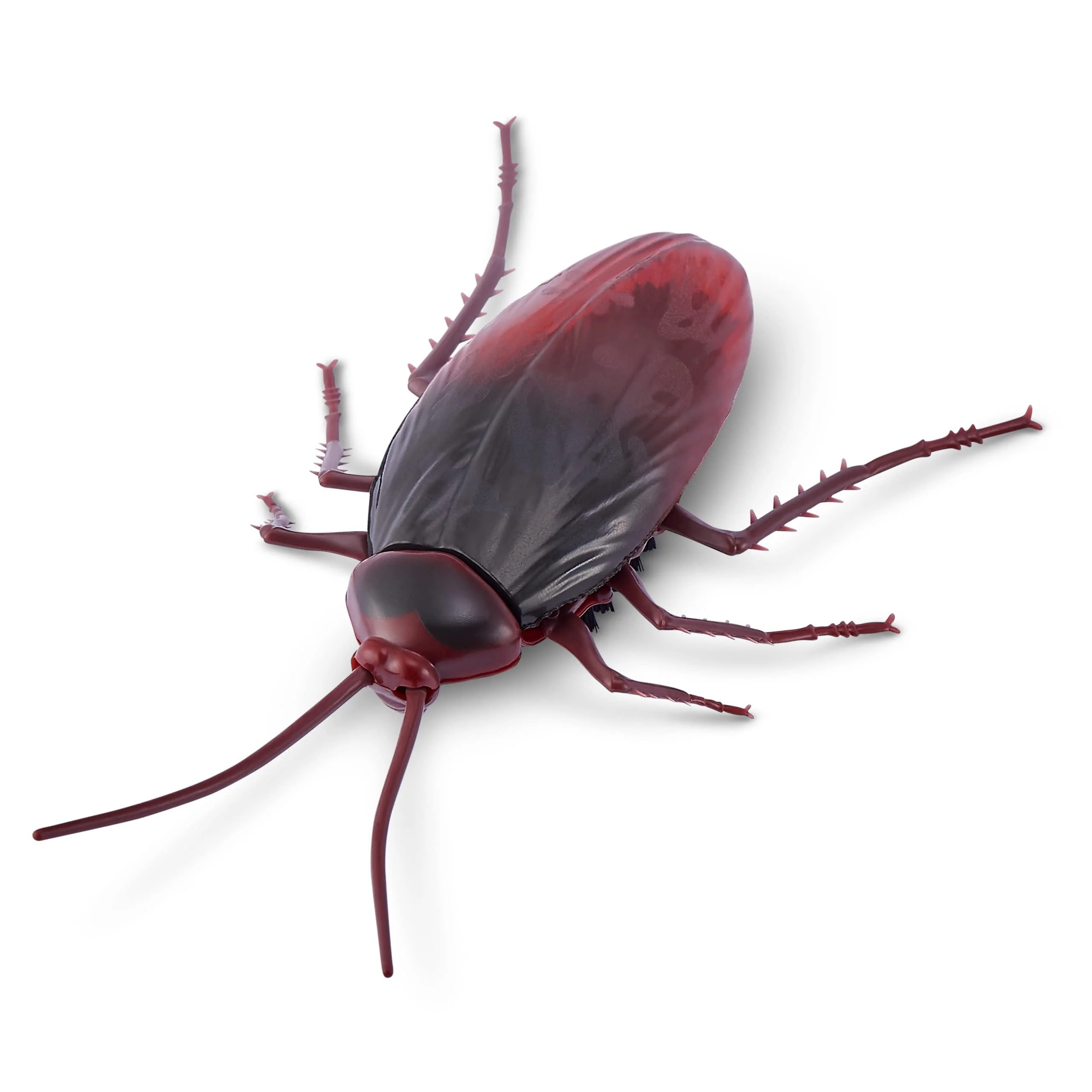 robo alive crawling cockroach glow in the dark (2 pack) by zuru battery-powered robotic interactive electronic cockroach toy