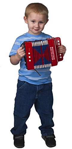 Woodstock Chimes Woodstock Kid&s;s Accordion- Music Collection