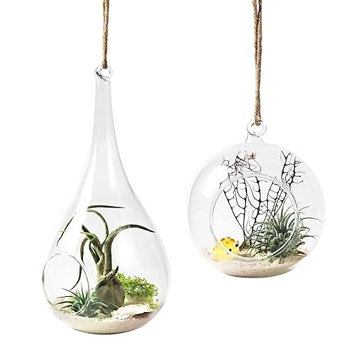 Mkono 2 Pack Glass Hanging Planter Air Fern Holder Terrarium Plants Hanger Vase Home Christmas Decoration Gift Idea for Succulen