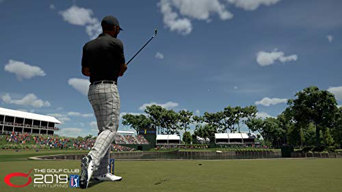 2K Games The Golf Club 2019 (PS4)
