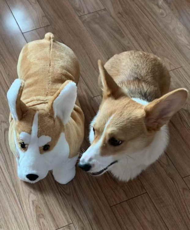 woki corgi dog 20 inch realistic lifelike louie welsh corgi dog plush stuffed animal pet dog huggle furry corky