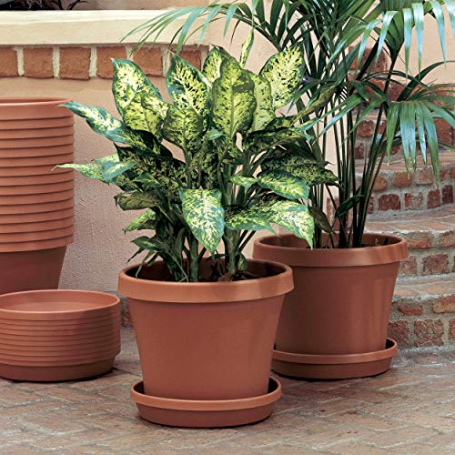 Bloem Terra Pot Planter - 4