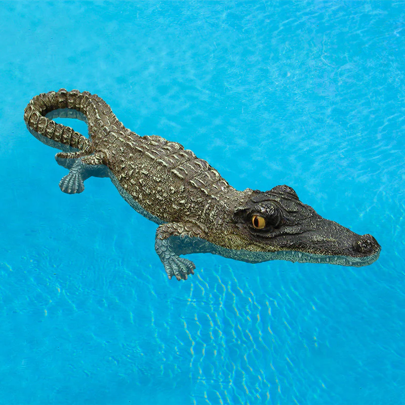 Swim Central 18