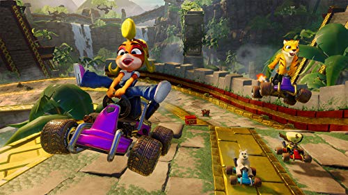 Activision Crash™ Team Racing Nitro-Fueled (PS4)