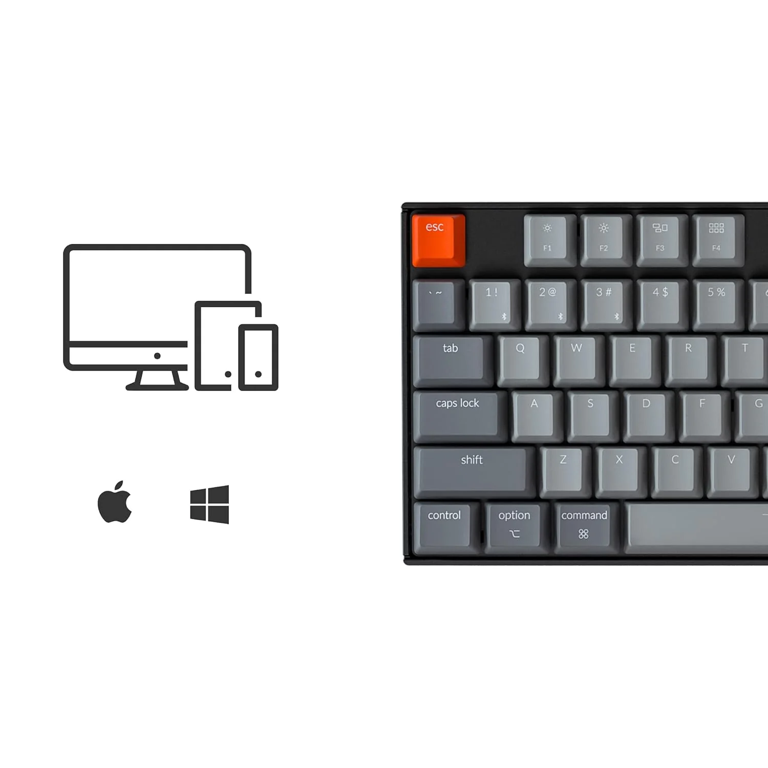 Zell Electronics Zell K8 Tenkeyless Wireless Mechanical Keyboard For Mac, White Backlight, Bluetooth, Multitasking, Type-C Wired Gaming Keyboa…