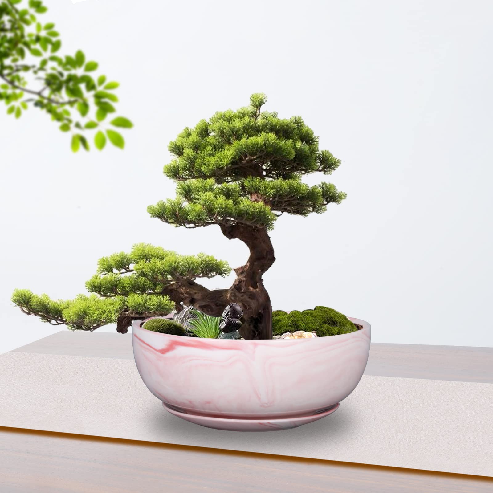 G EPGardening 8in Marble Large Round Ceramic Succulent Planter Pot with Drainage Hole and Plant Saucer Shallow Bonsai Planter Po