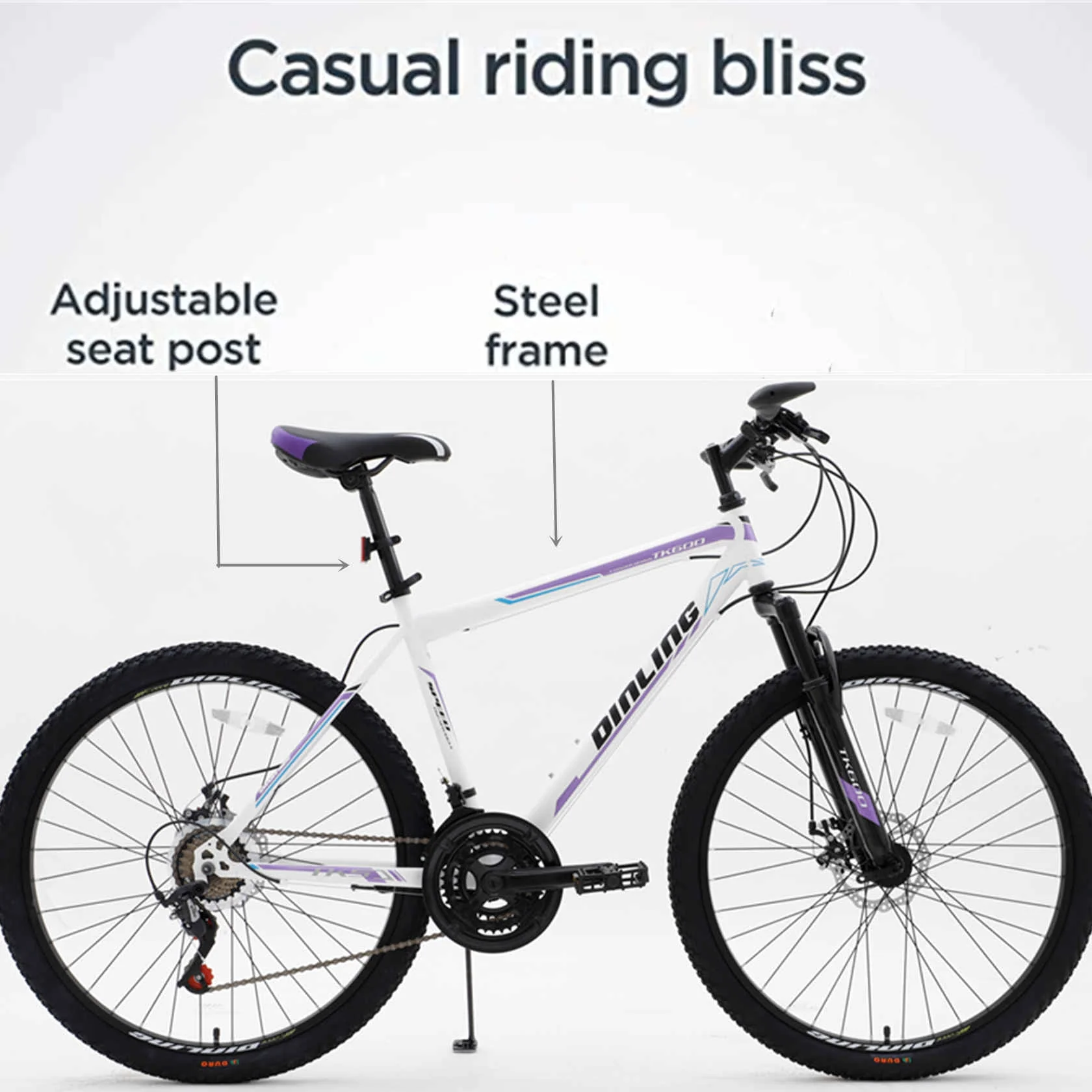 Dinling 26 inch Mens and Womens Mountain Bike with 21 Speed Wheel Purple
