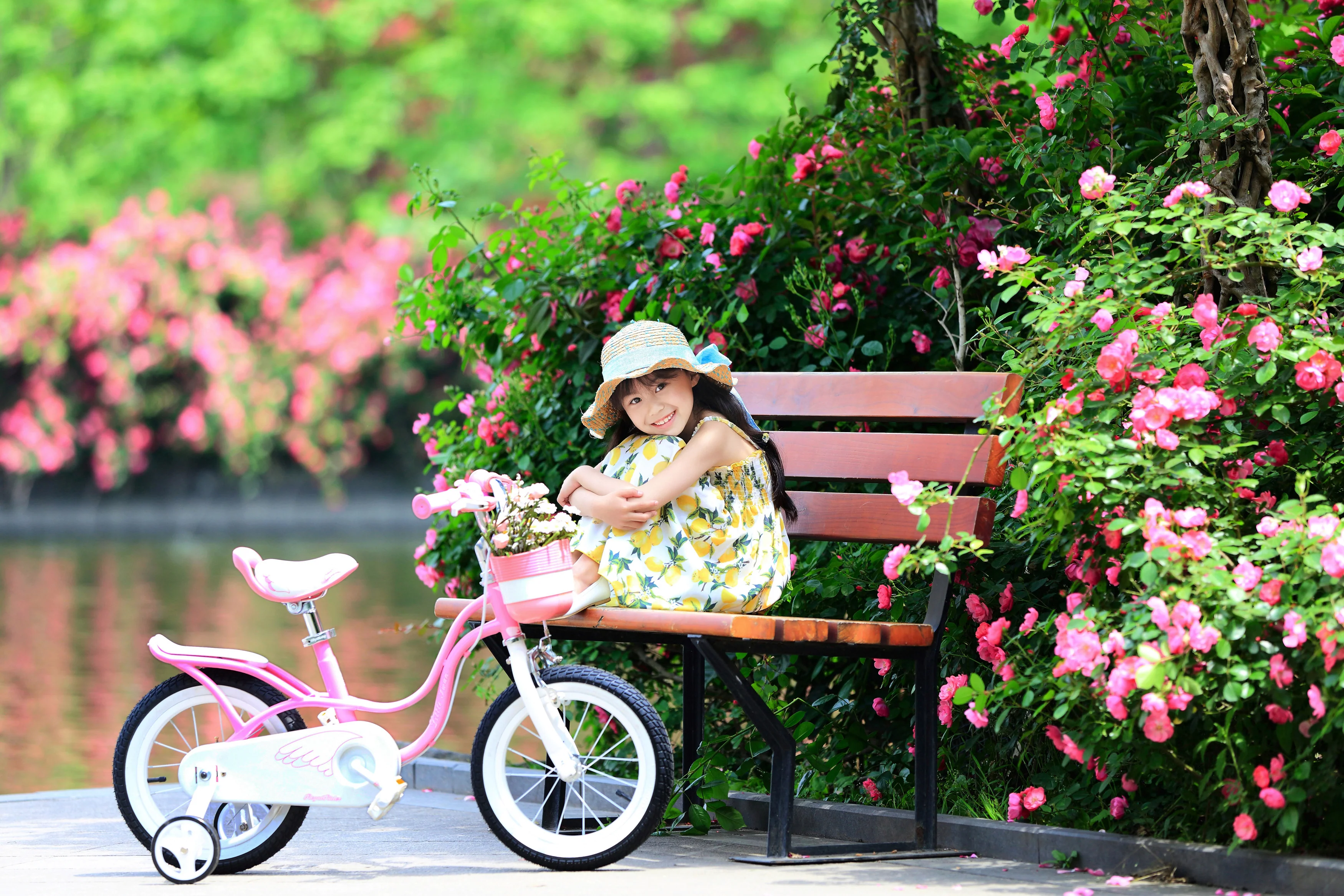 Royalbaby Little Swan Girl&s;s Bike, 14 inch wheels, Pink
