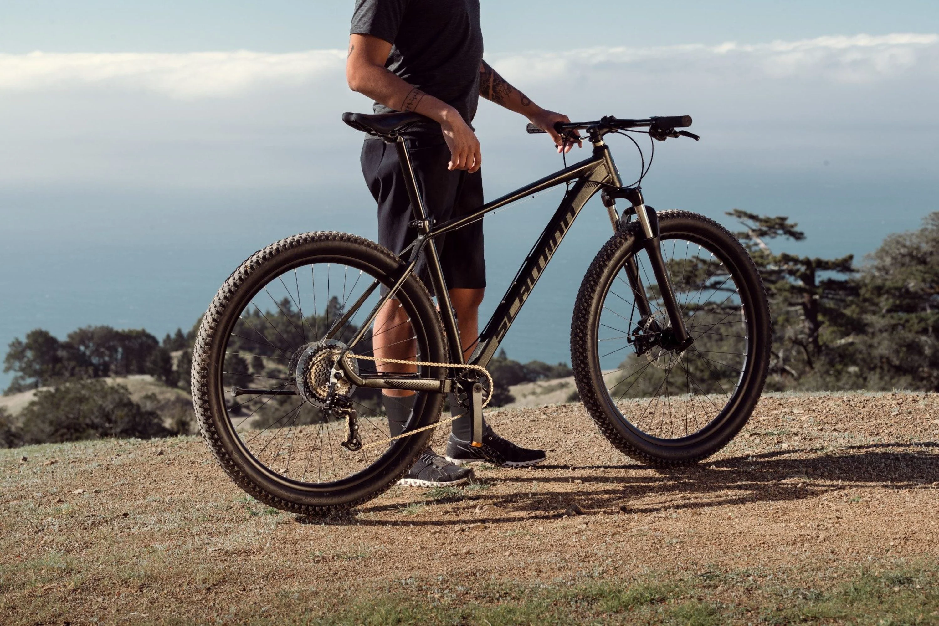 Schwinn 29