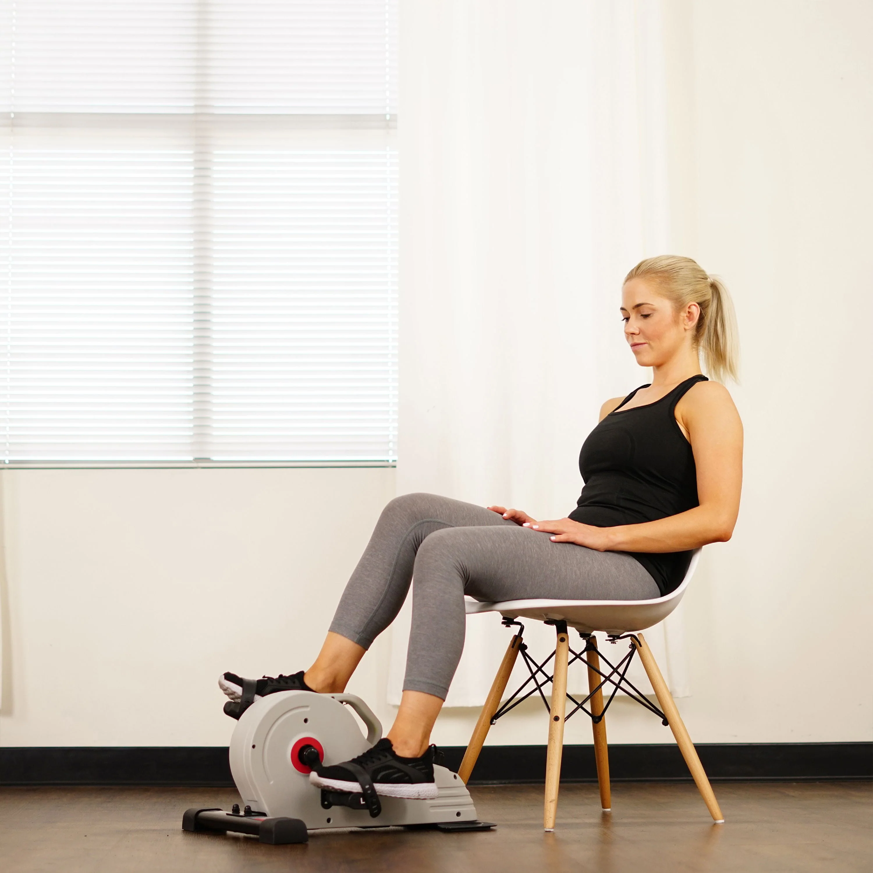 Sunny Health & Fitness Magnetic Mini Exercise Bike, SF-B0891