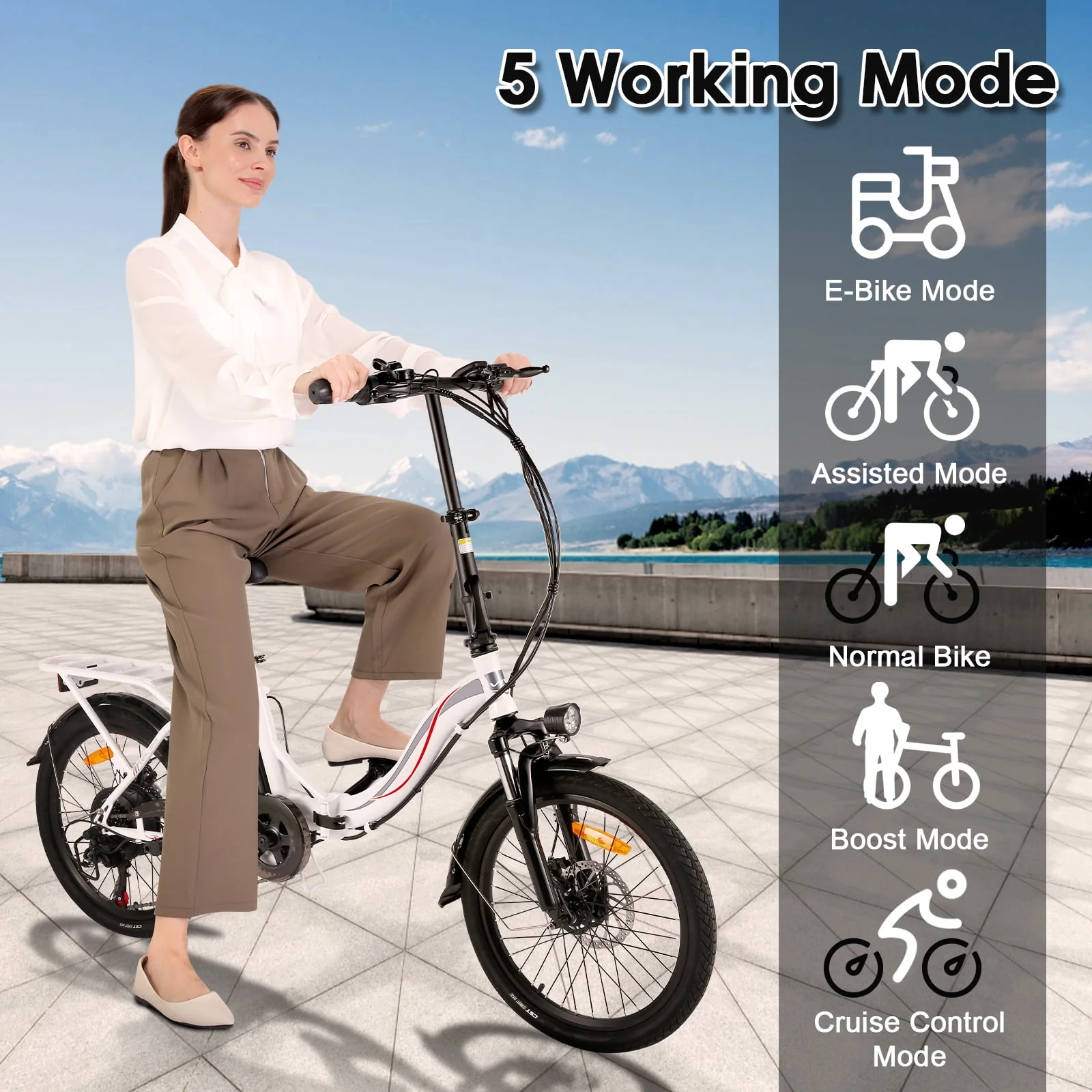 Gocio 500W Electric Bike, 20