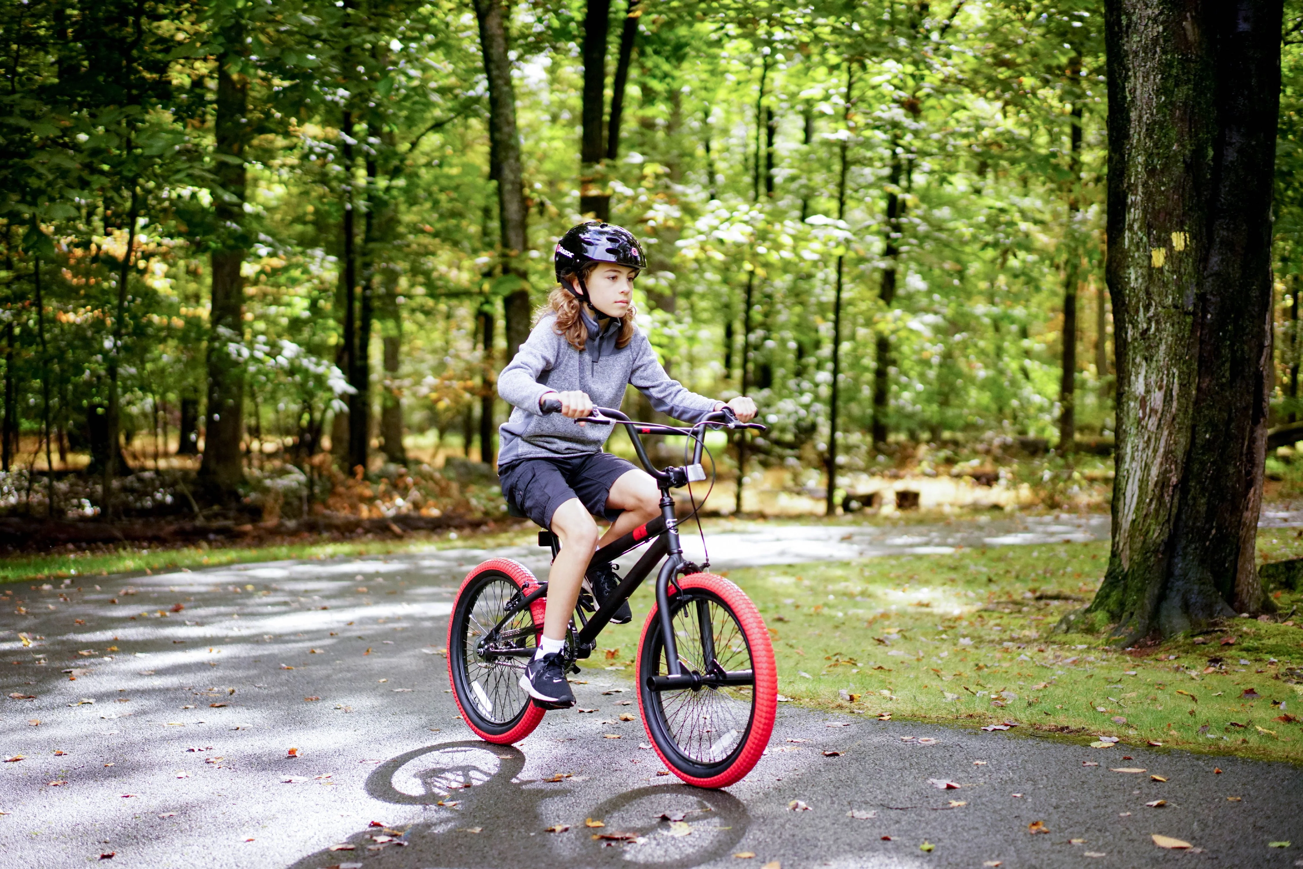 Kent Bicycles 20