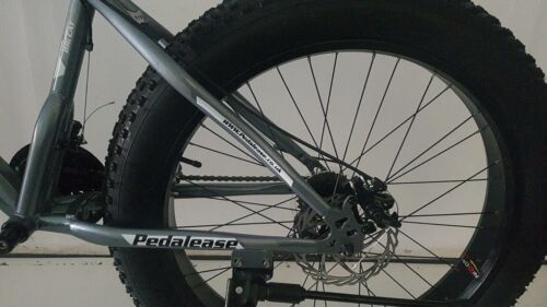 26" Gray Big Cat Fat Bike G MTB Snow Beach front suspension,disc brake 21sp
