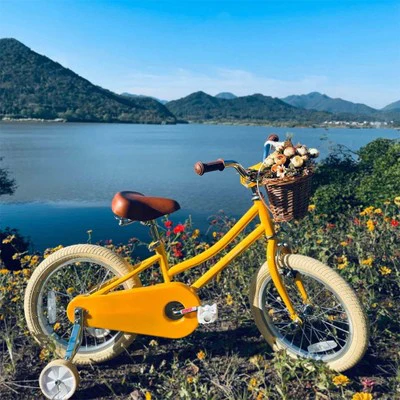 Petimini 18 Inch Steel Frame Child Bicycle with Wicket Basket, Handlebar Bell, Training Wheels, Adjustable Seat, & Parent Handle, Ages 5 to 9, Yellow