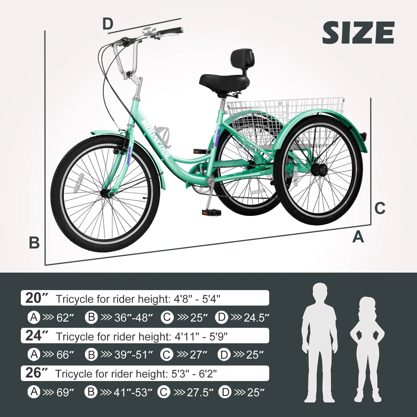 Lilypelle Adult Tricycle 24