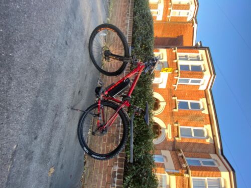 29inch Mountain Electric Bike with 2 batteries 