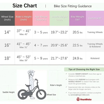 RoyalBaby Chipmunk Steel Frame 16 Inch Kids Bike with Dual Hand Brakes, Training Wheels, Kickstand, Bell, Basket, and Tool Kit for Boys & Girls, Pink