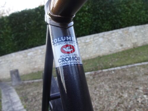 Custom painted track bike 