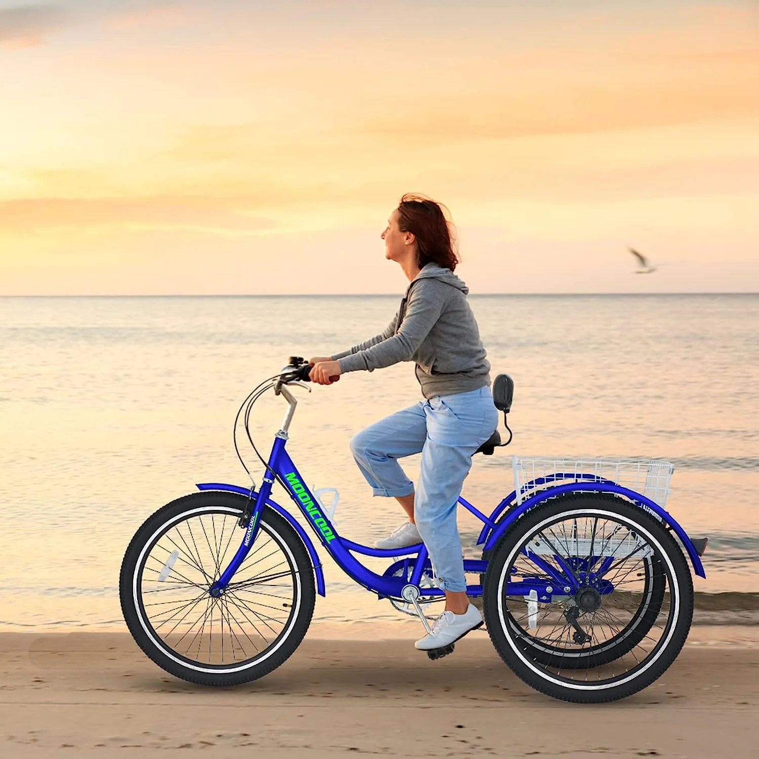 FICISOG Adult Tricycle 24