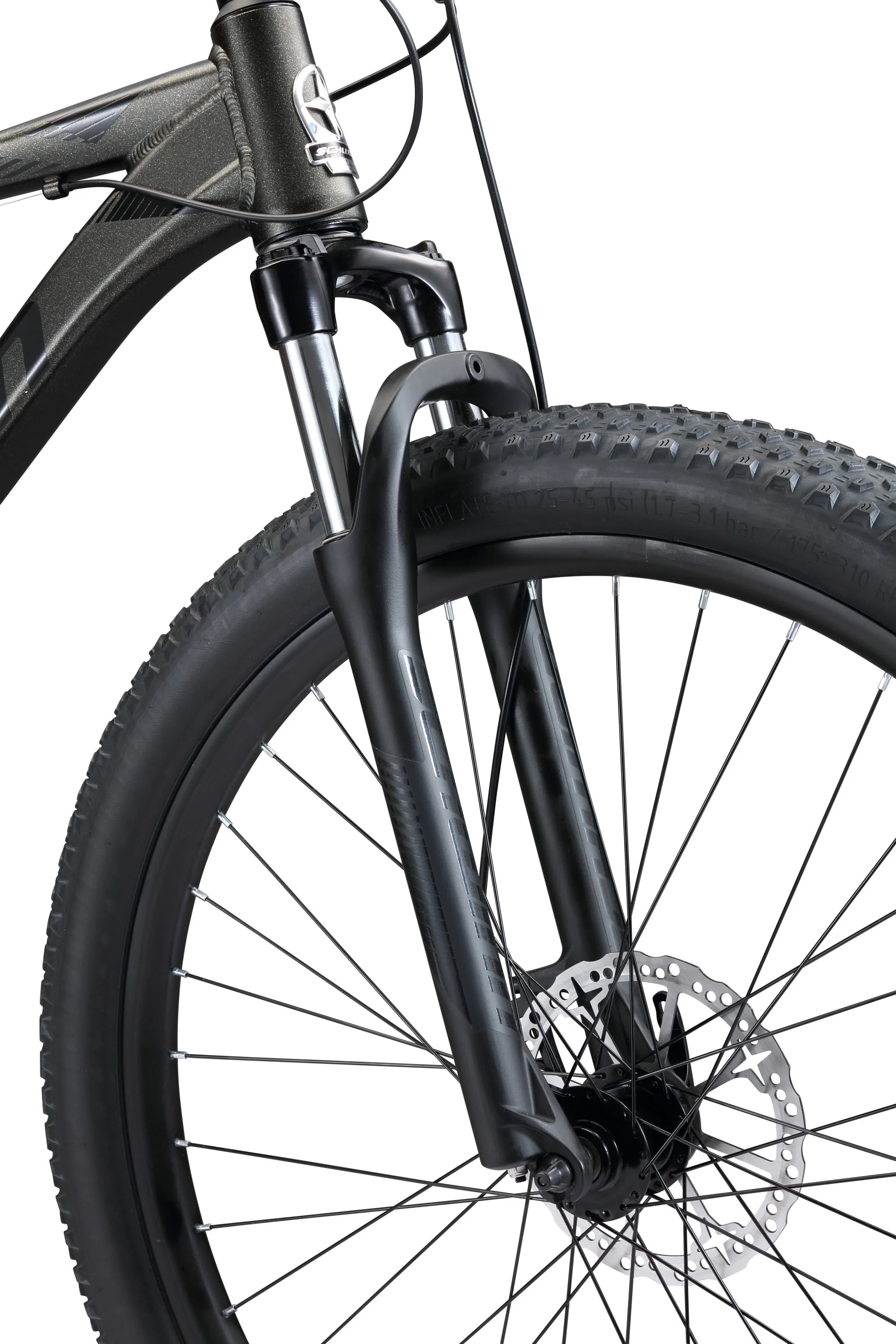 Schwinn 29