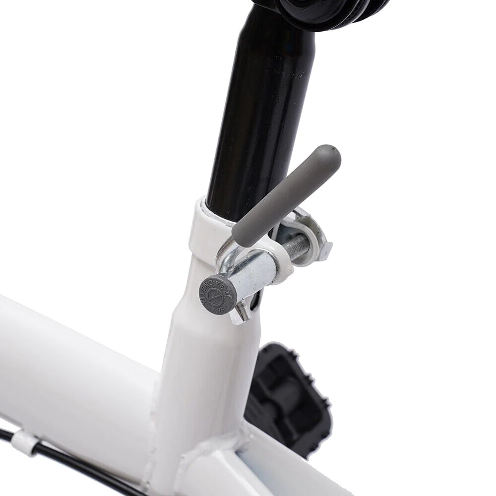 TFCFL 20-inch Folding Bike Bicycle 7 Speed Double V Brake Bike Cycling Carbon Steel