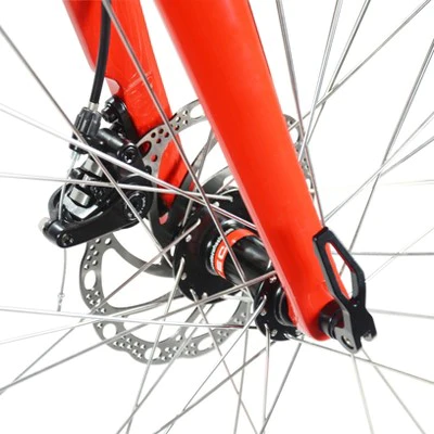 Pava Alloy Road Bike