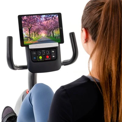 Schwinn 230 Exercise Bike