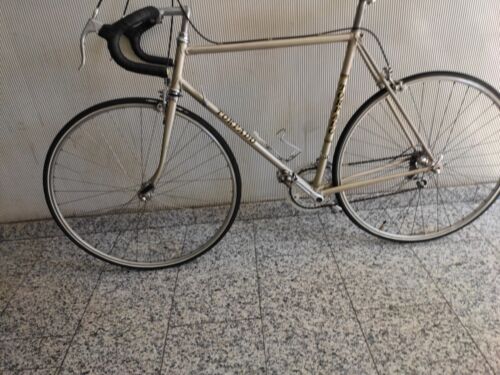 Torpado Racing Bike
