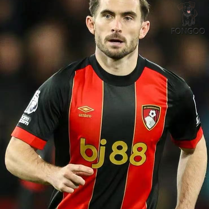 2024-2025 AFC Bournemouth Home