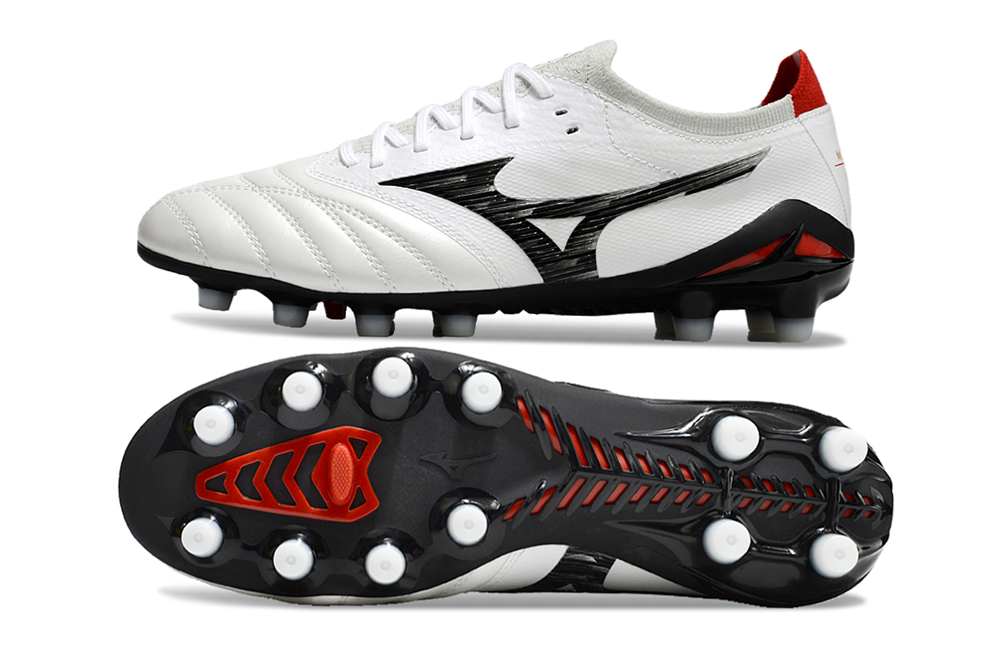Morelia Neo IV