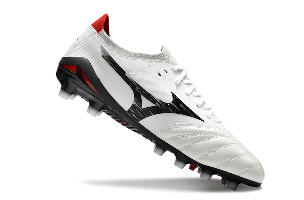 Morelia Neo IV