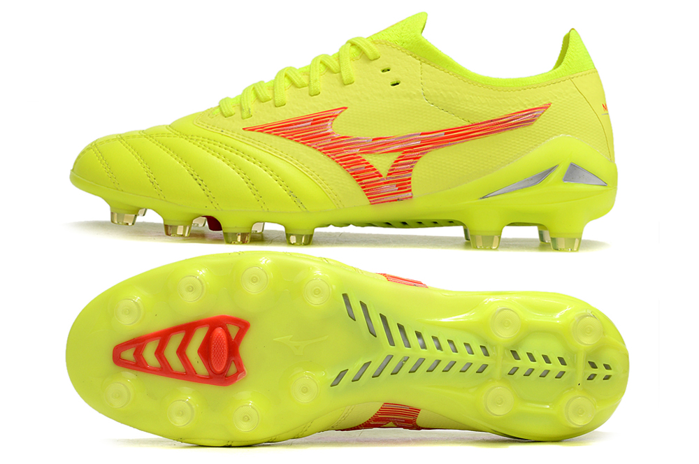 Morelia Neo IV