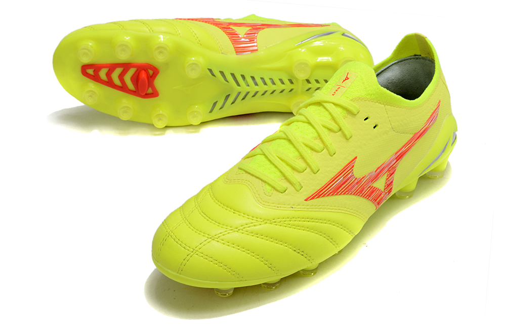 Morelia Neo IV