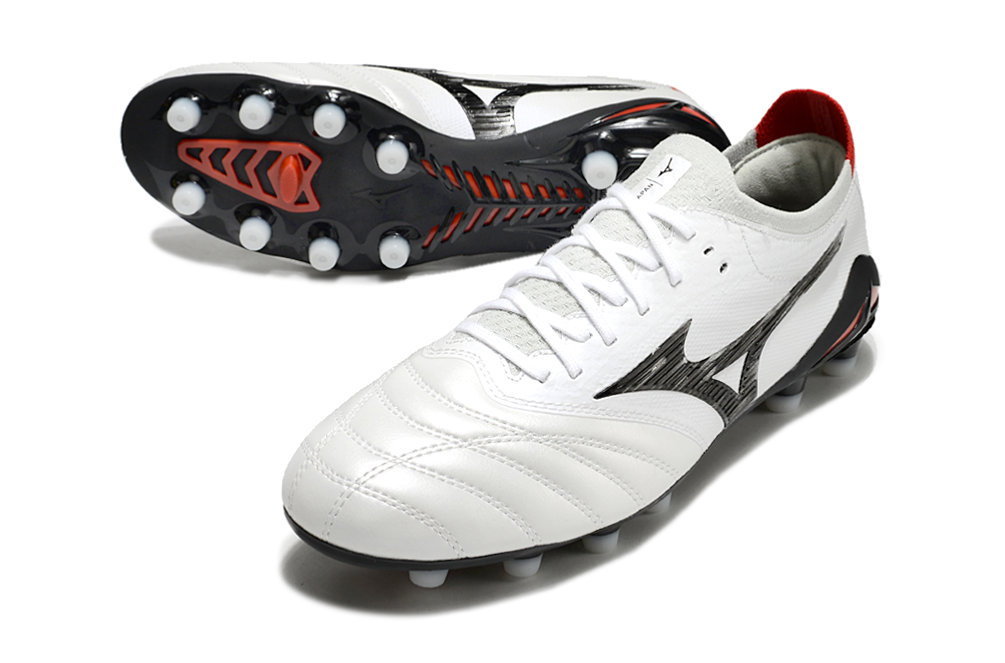Morelia Neo IV