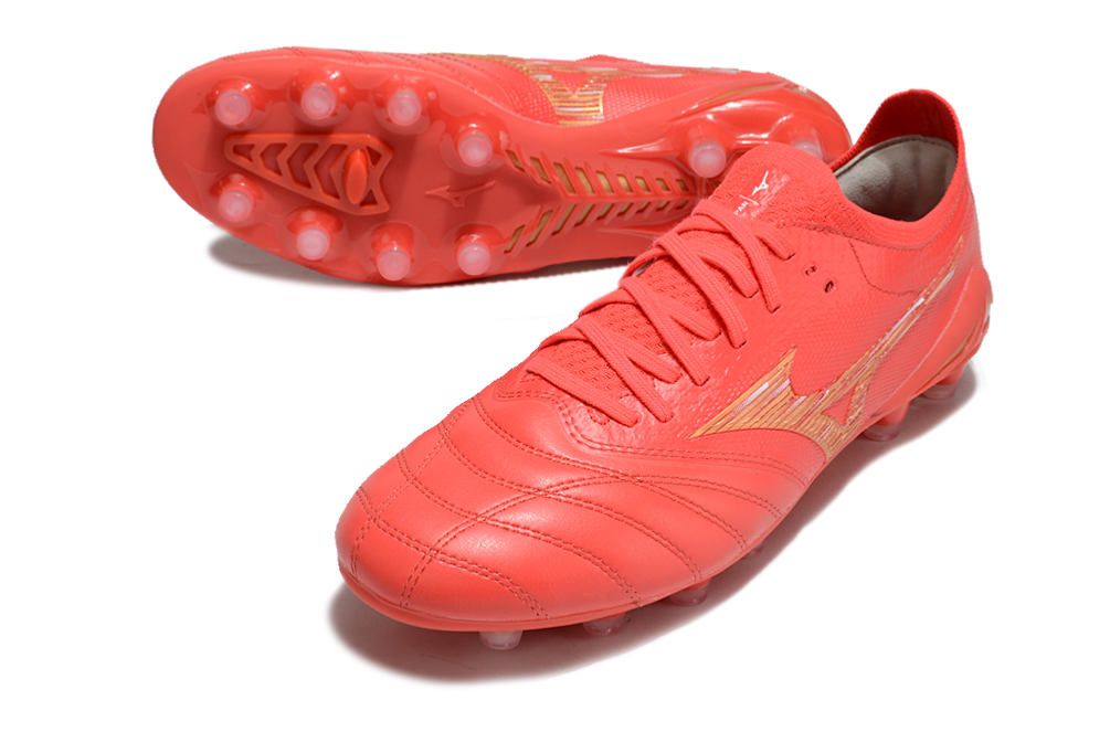 Morelia Neo IV