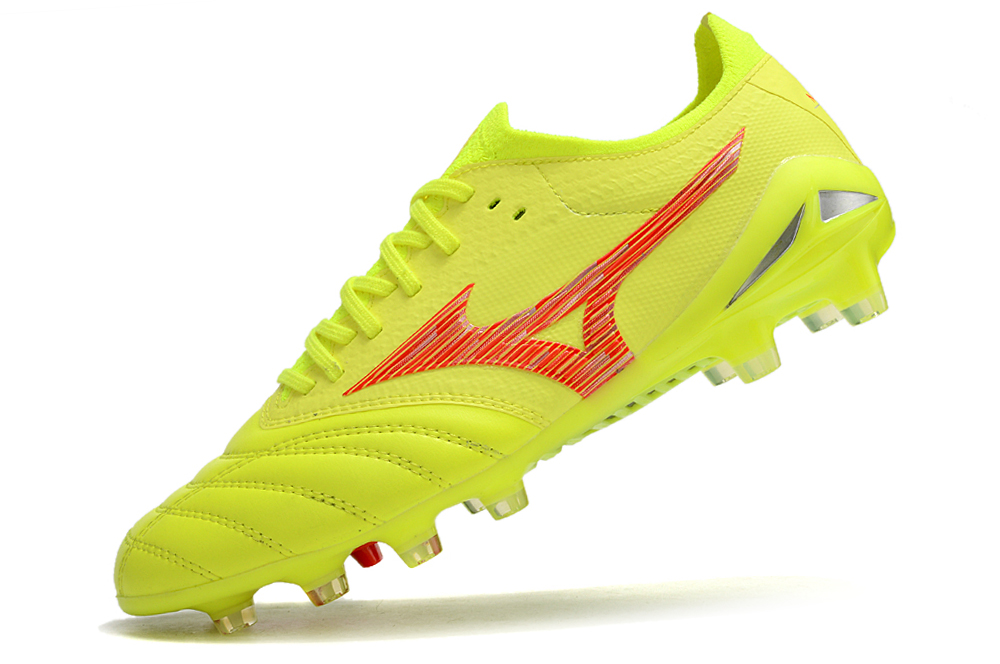 Morelia Neo IV