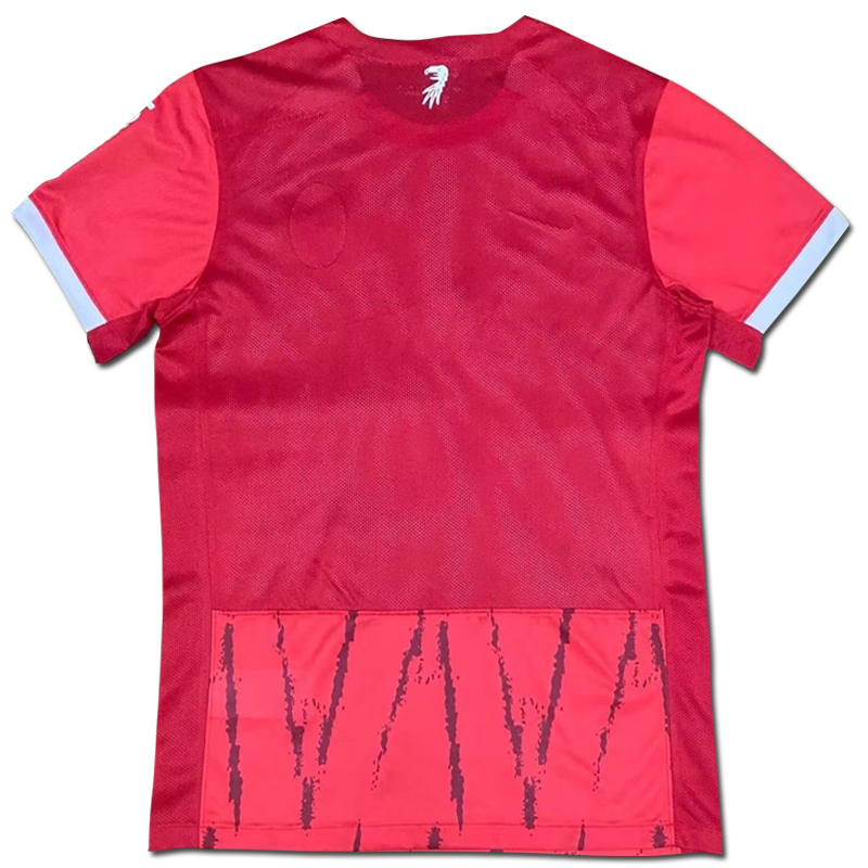 2024-2025 SC Freiburg Home