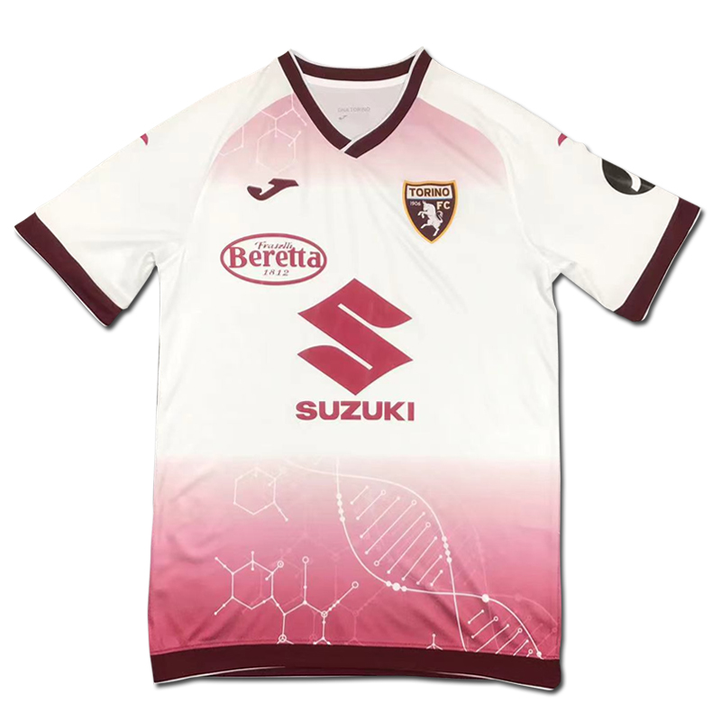 2024-2025 Torino Training clothes