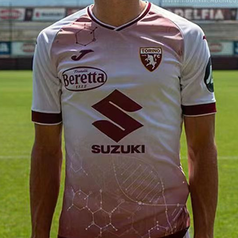 2024-2025 Torino Training clothes