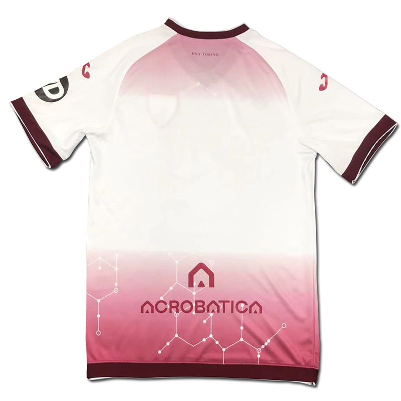 2024-2025 Torino Training clothes