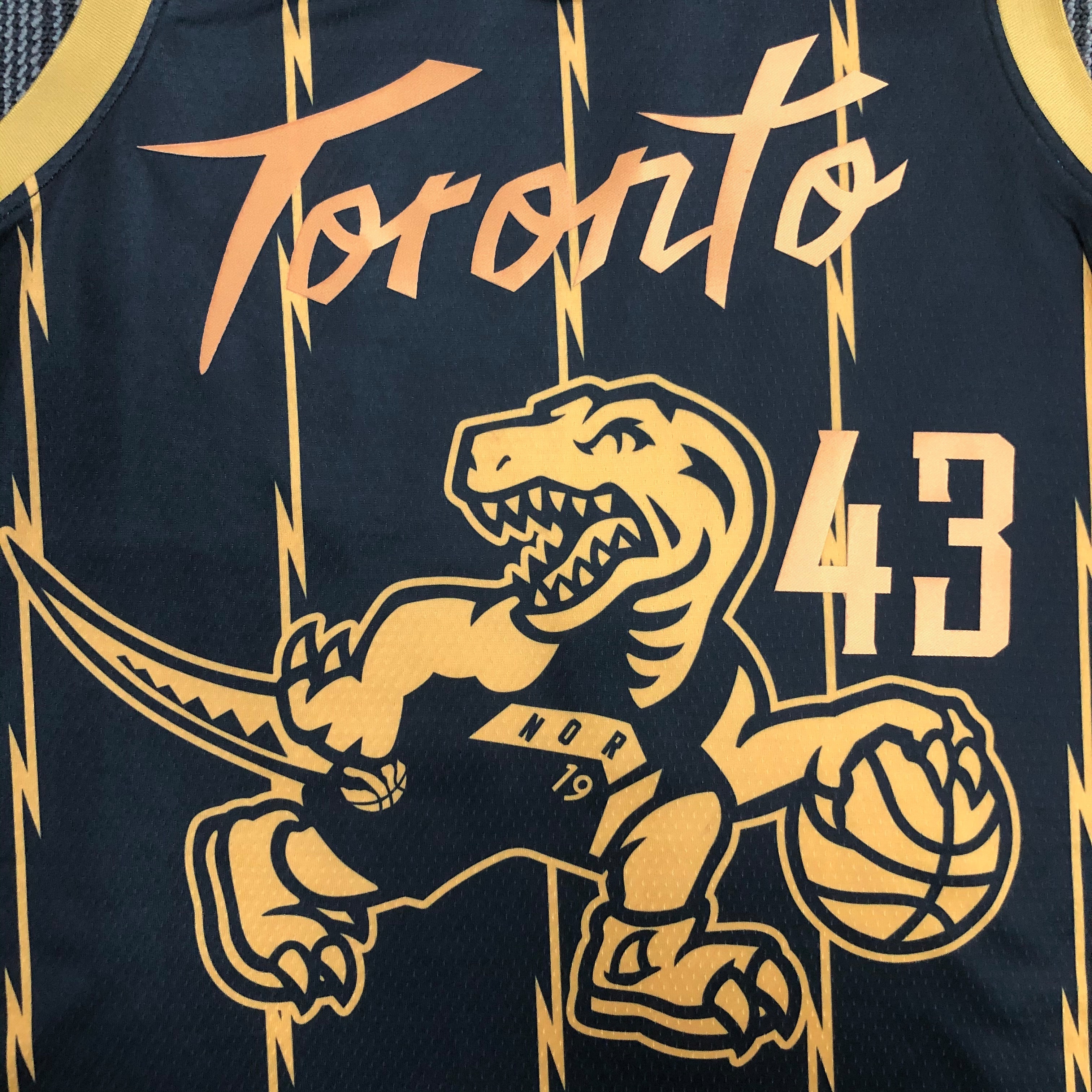 22 season Raptors City version 43 SIAKAM