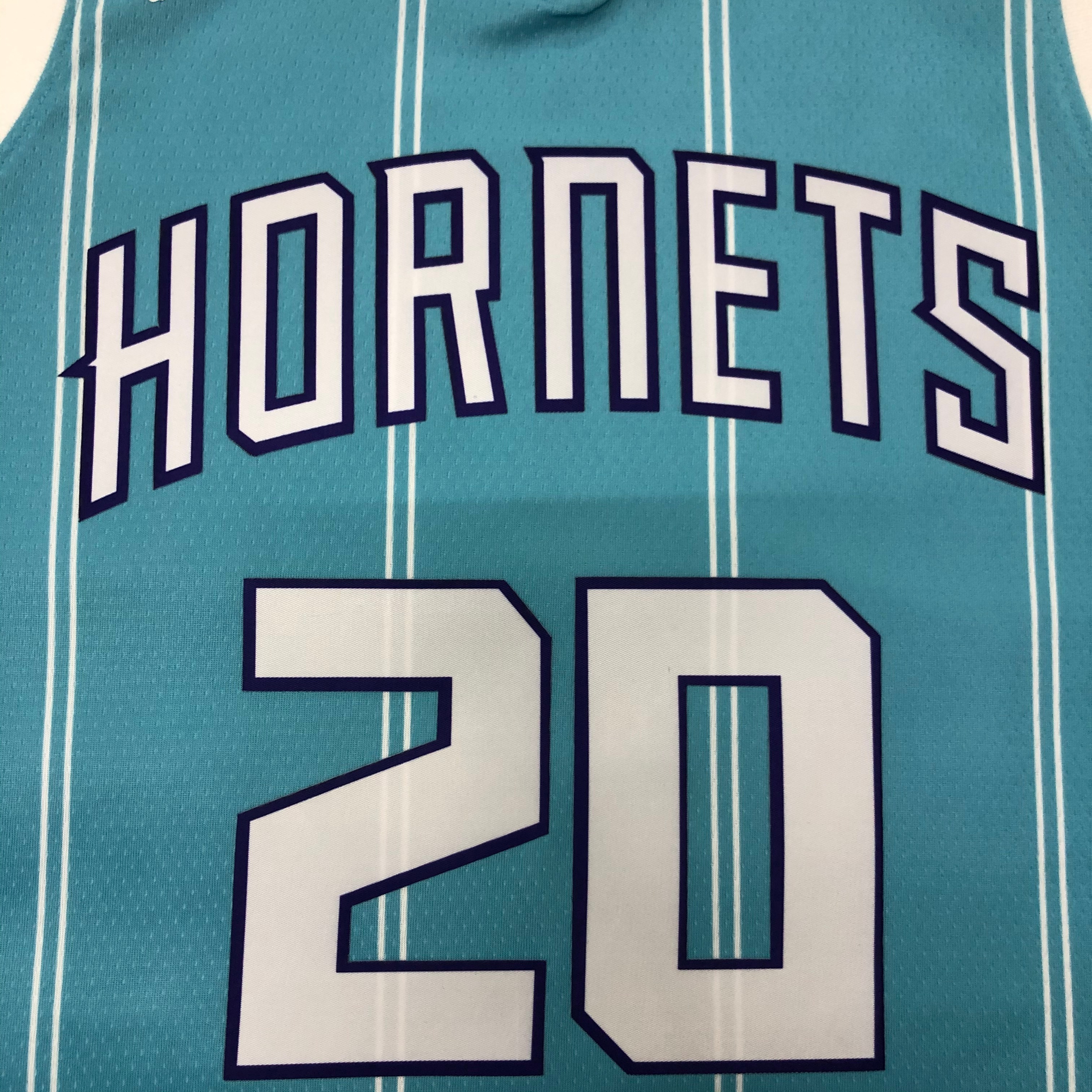 20 Hornets blue No. 20 Hayward